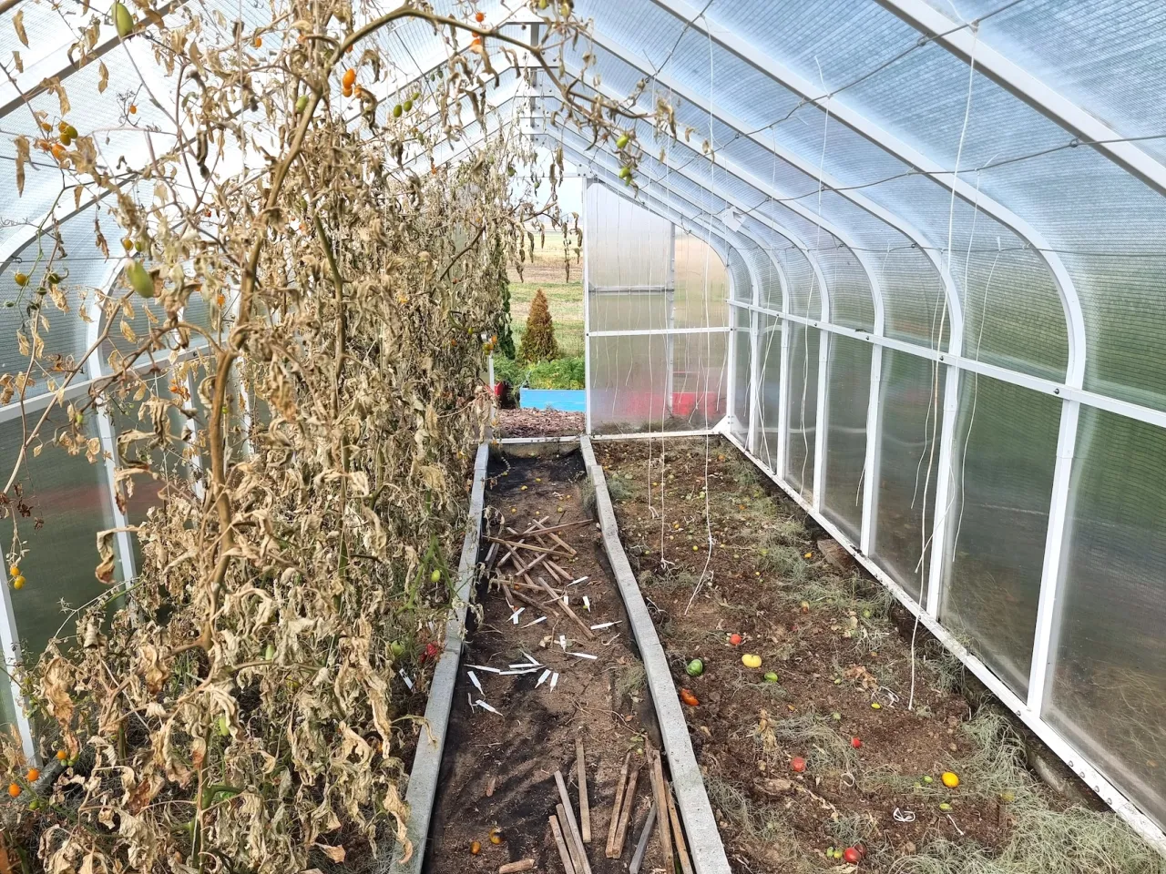 mycie szklarni poliwęglanowej krok po kroku