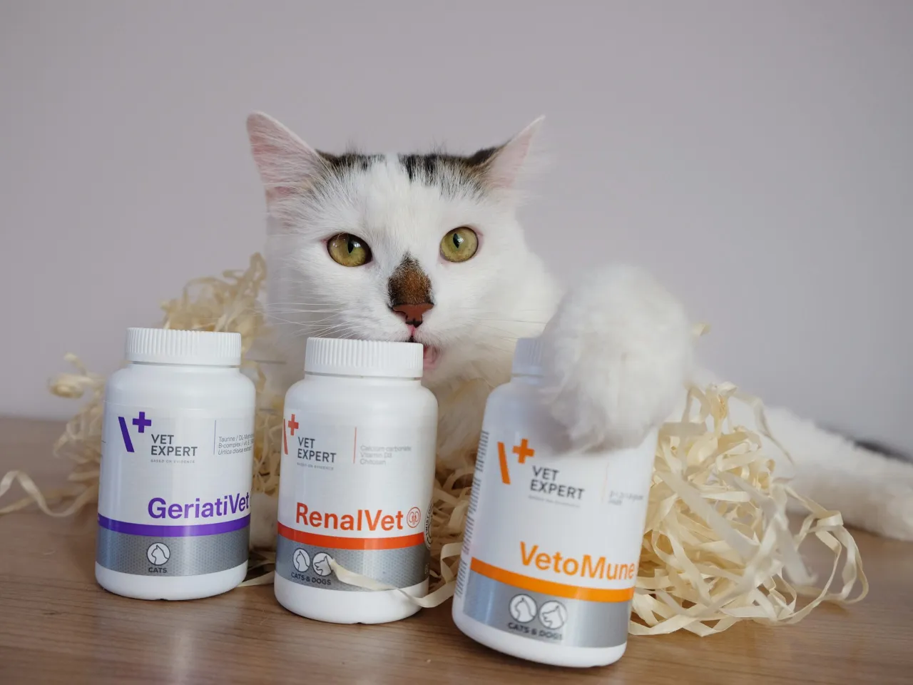 formy suplement&oacute;w dla kota