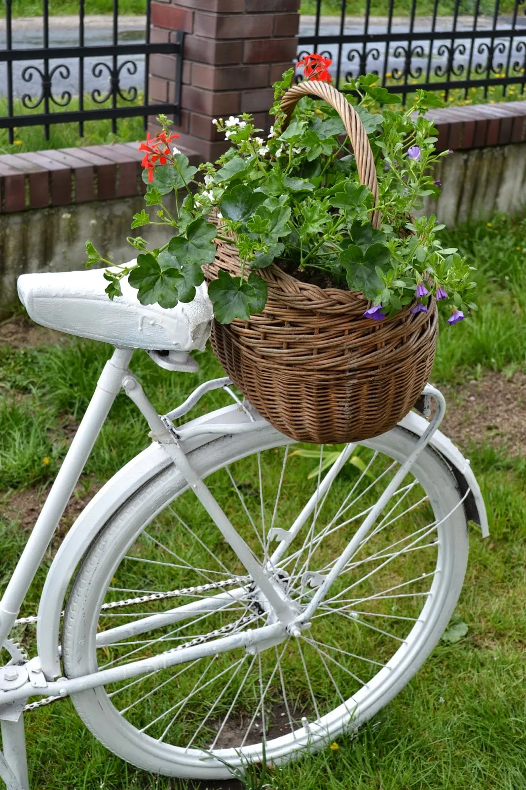 Zdjęcie Stary rower w ogrodzie? Zaskakujący sposób na wyjątkowy kwietnik DIY