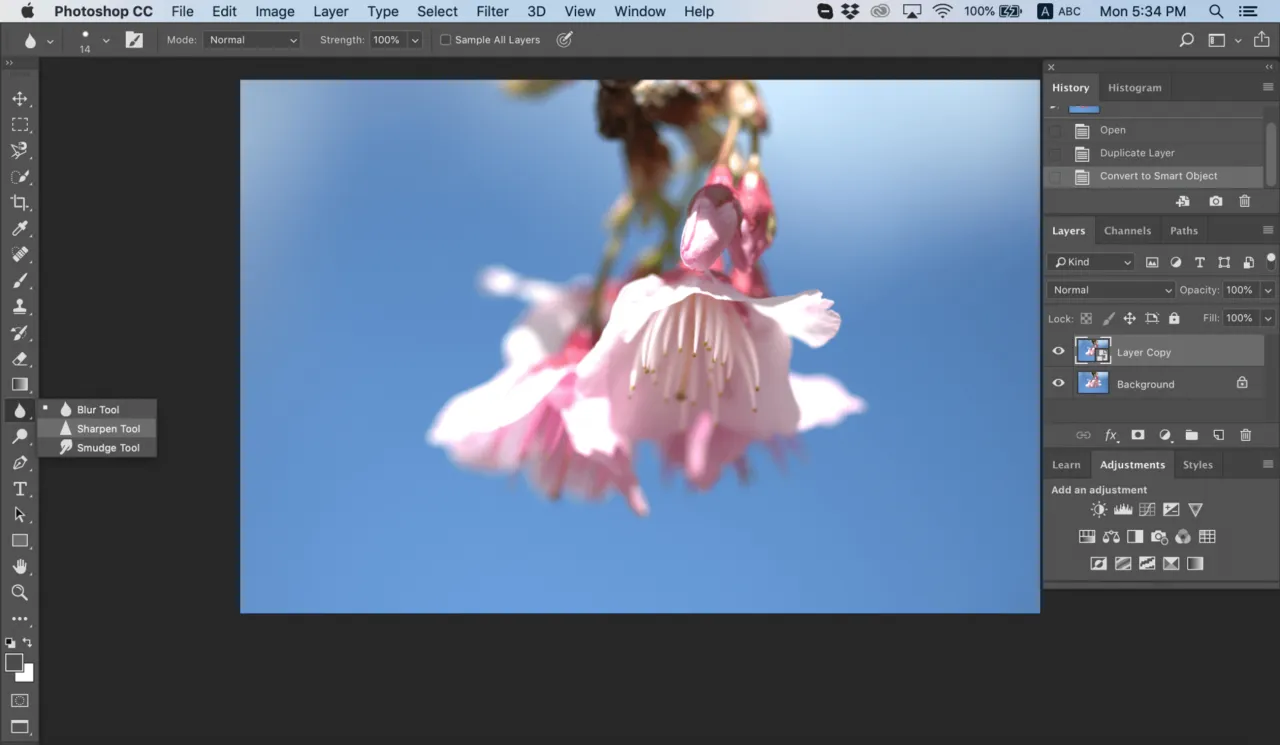 Profesjonalne wyostrzanie zdjęć w Photoshopie