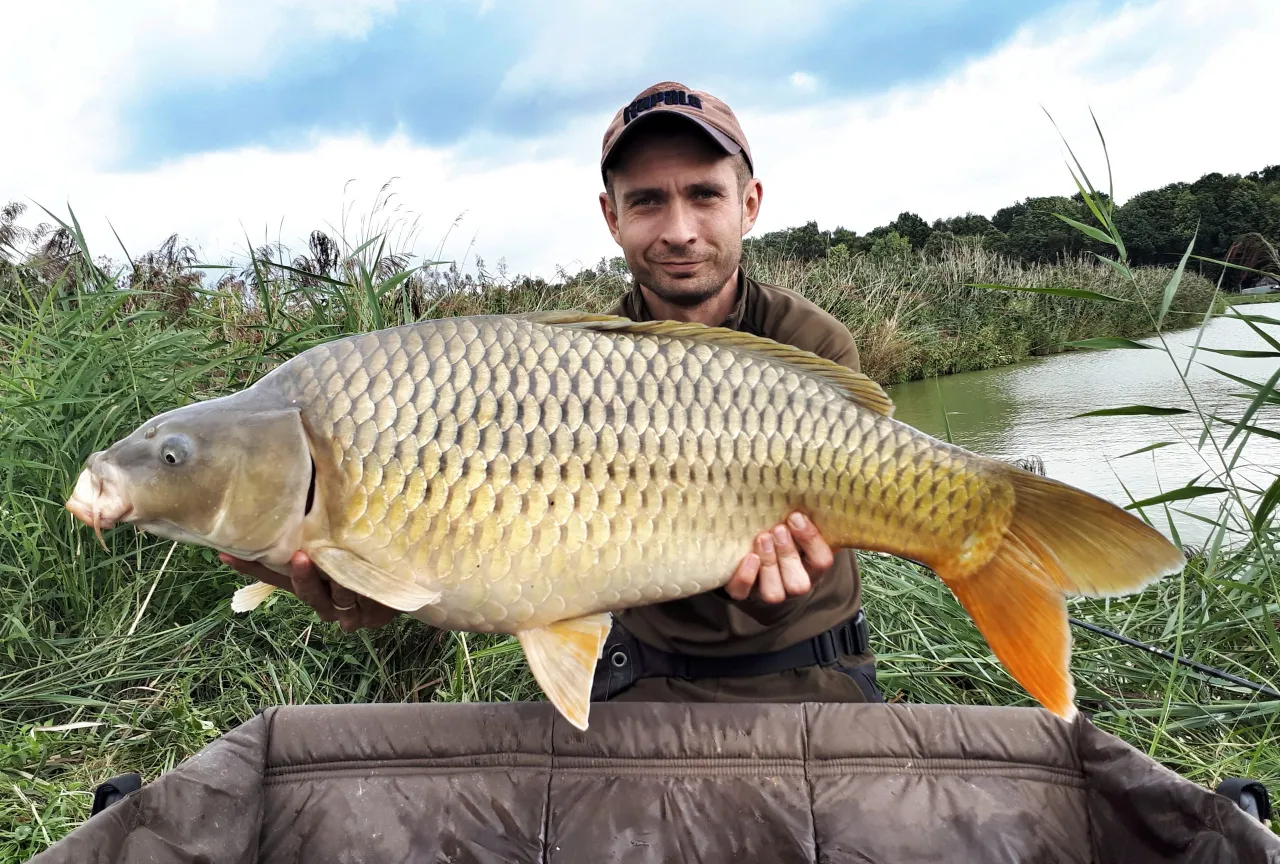 łowisko komercyjne karp wędkarz