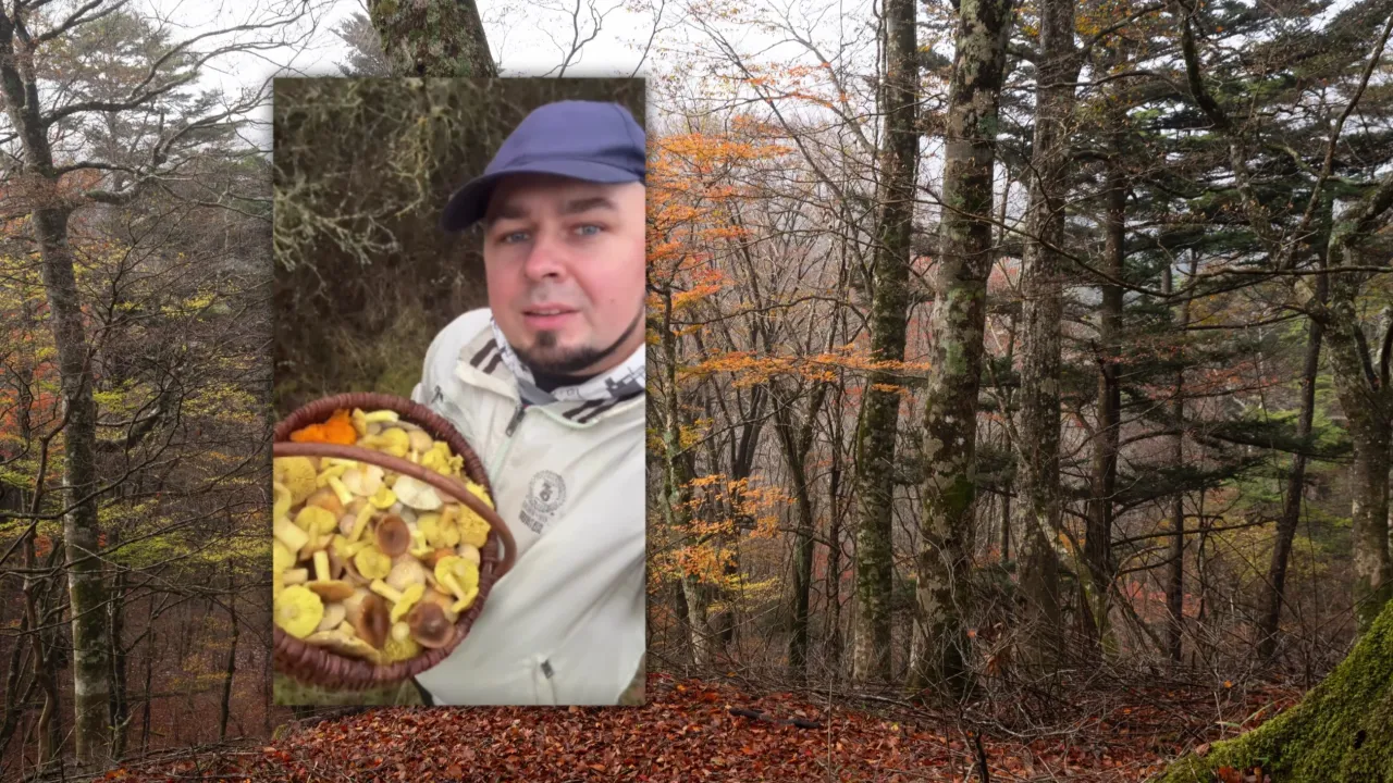 Grzybiarz w lesie z koszykiem