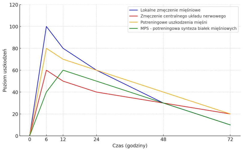 czynniki wpływające na częstotliwość treningów siłowych