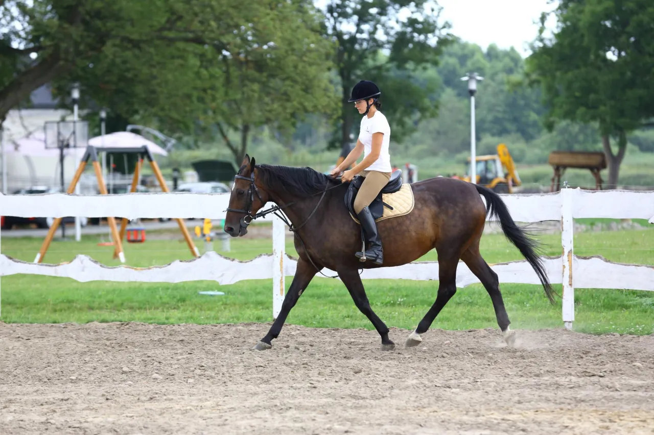 Przygotowanie do jazdy konnej