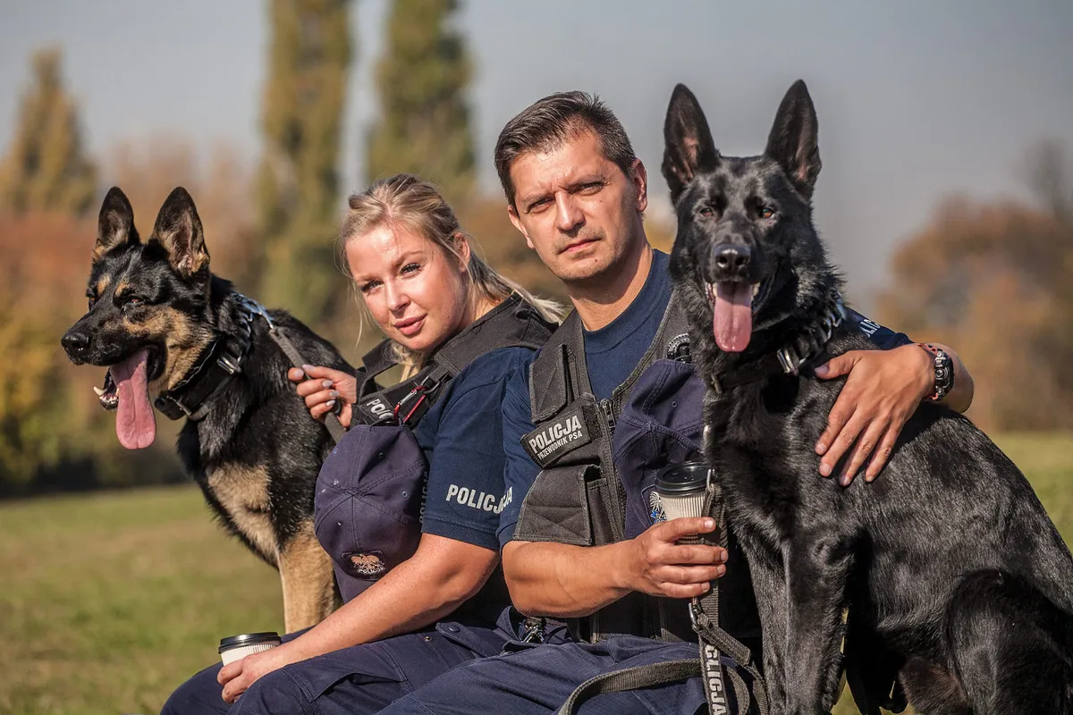 odpowiedzialność właściciela psa