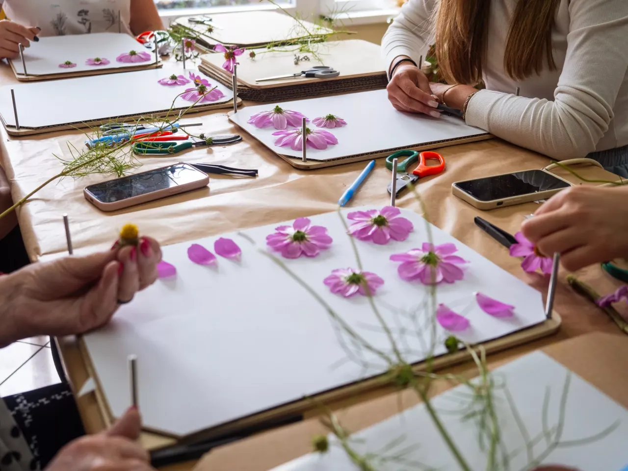 rękodzieło z prasowanych kwiat&oacute;w