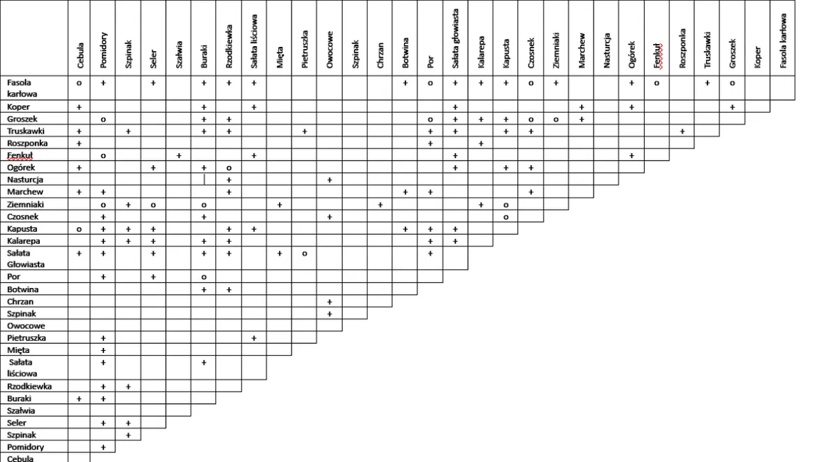 tabela ziół pasujących do warzyw w zupie