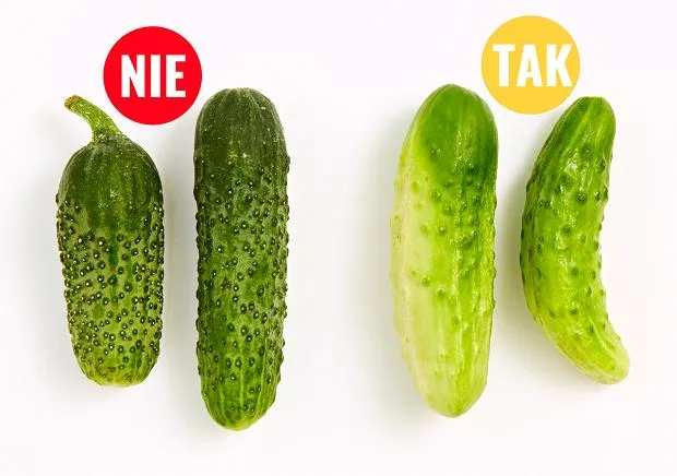 Jak rozpoznać idealne ogórki do kiszenia