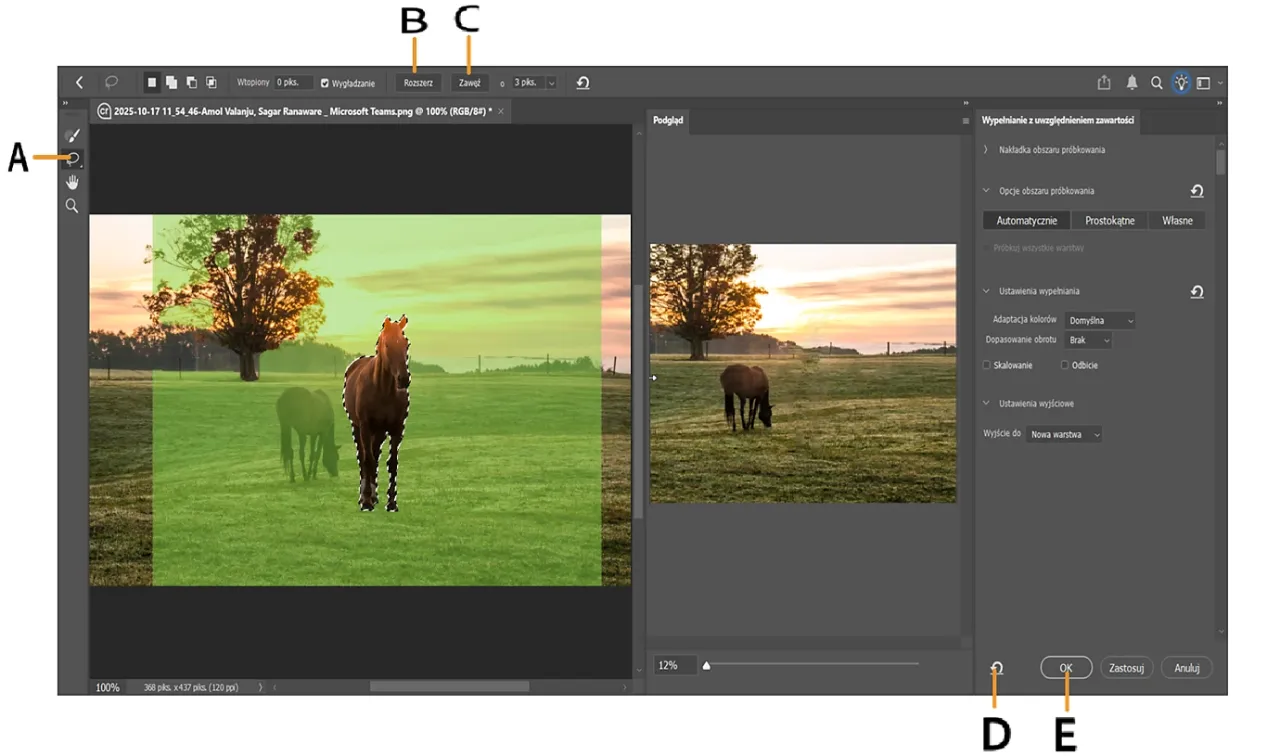Jak usunąć element ze zdjęcia Photoshop: zaznaczono konia do usunięcia, panel 