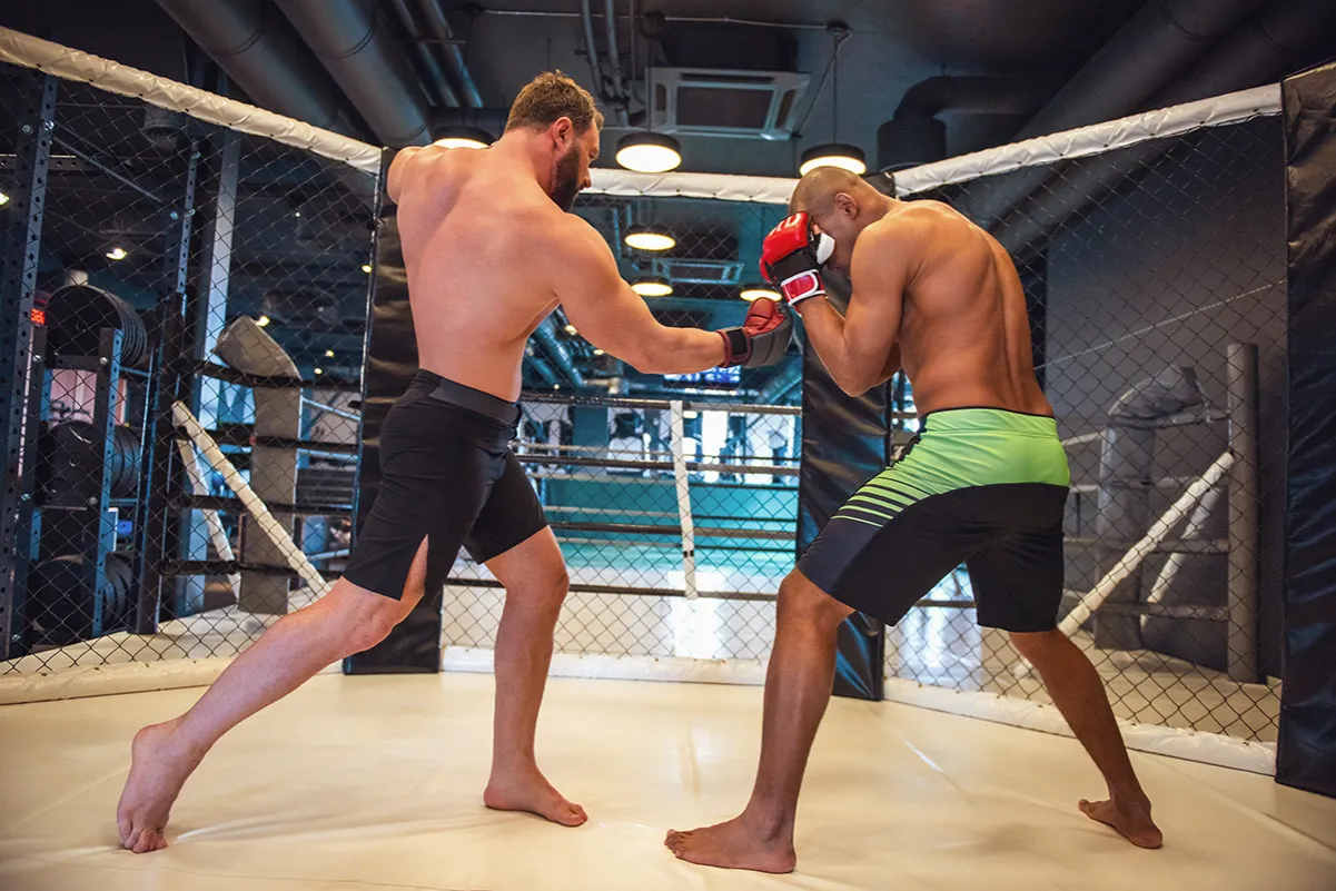 MMA co to, Mieszane Sztuki Walki og&oacute;lny widok