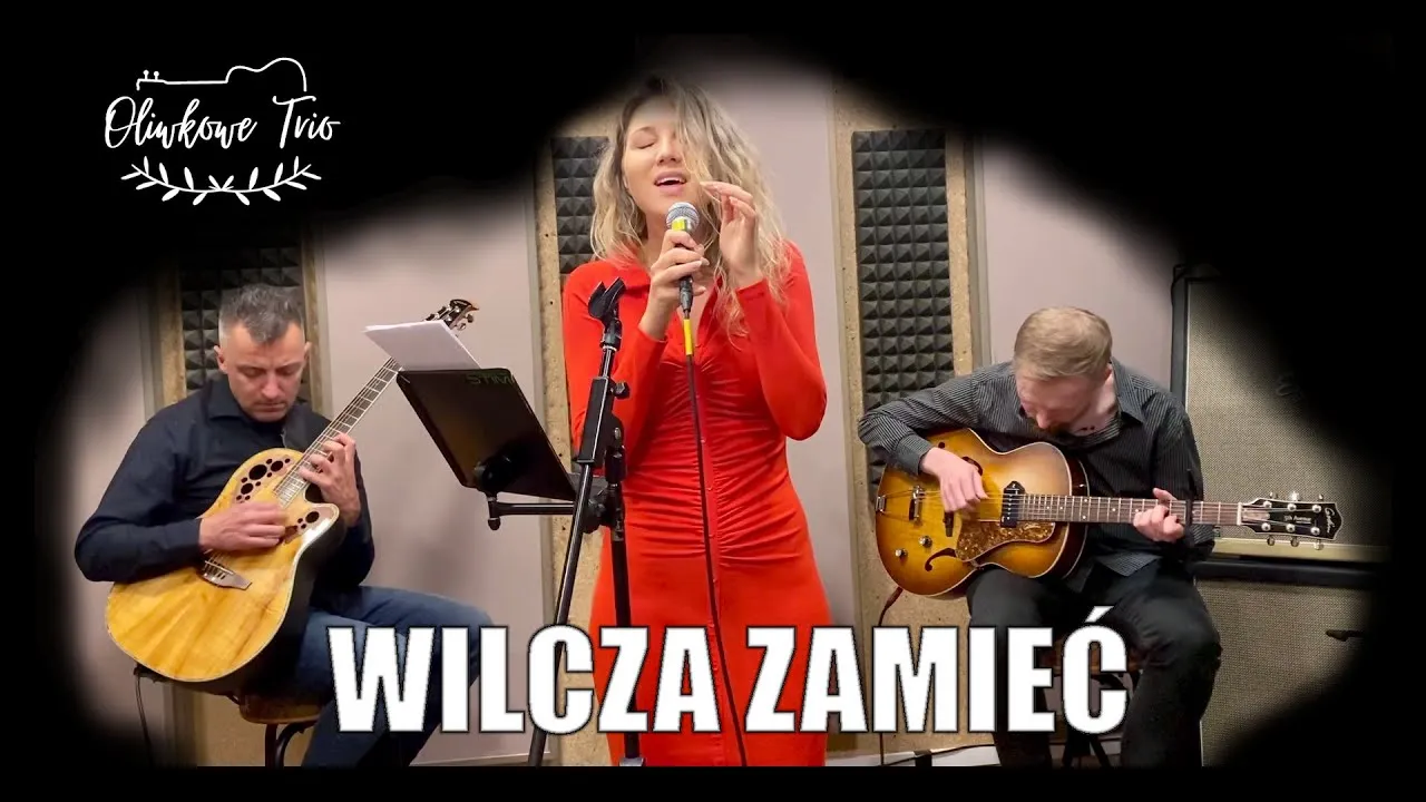 Zdjęcie Wilcza zamieć kto śpiewa? Poznaj wykonawcę i twórców utworu