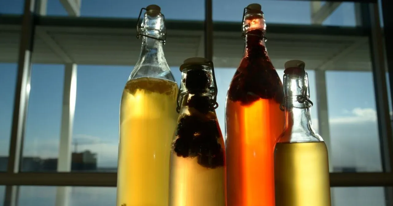 kombucha składniki i sprzęt