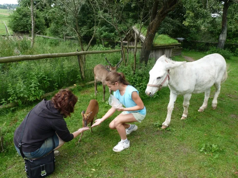 Dzieci w parku rozrywki Mazurolandia lub Park Dzikich Zwierząt Kadzidłowo