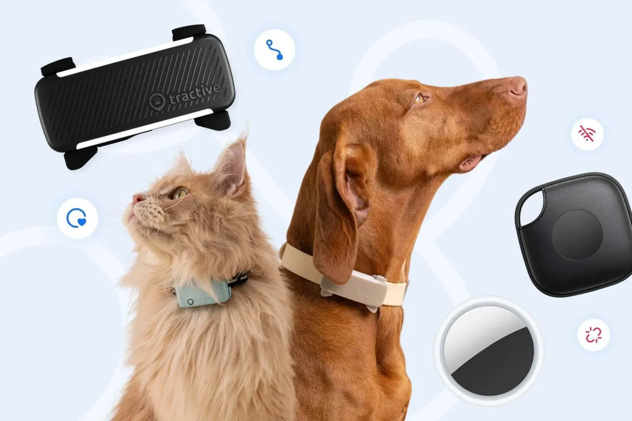 Lokalizator GPS dla psa vs lokalizator Bluetooth na obroży