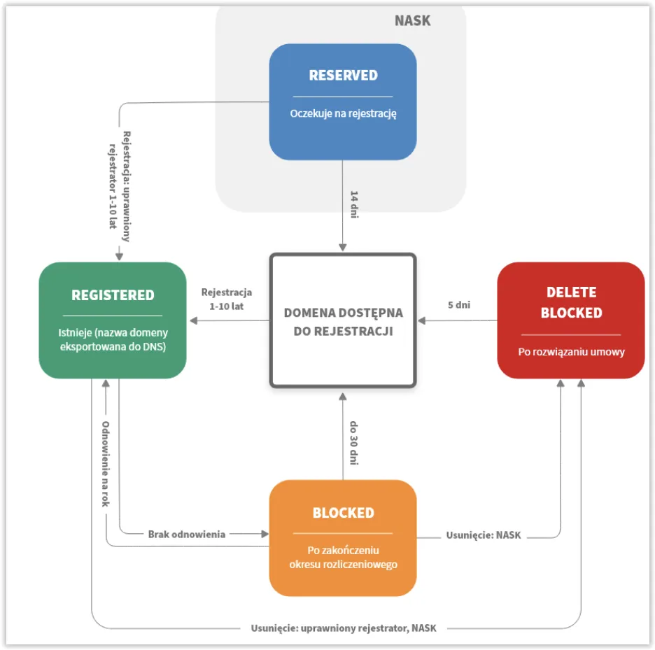 cykl życia domeny internetowej