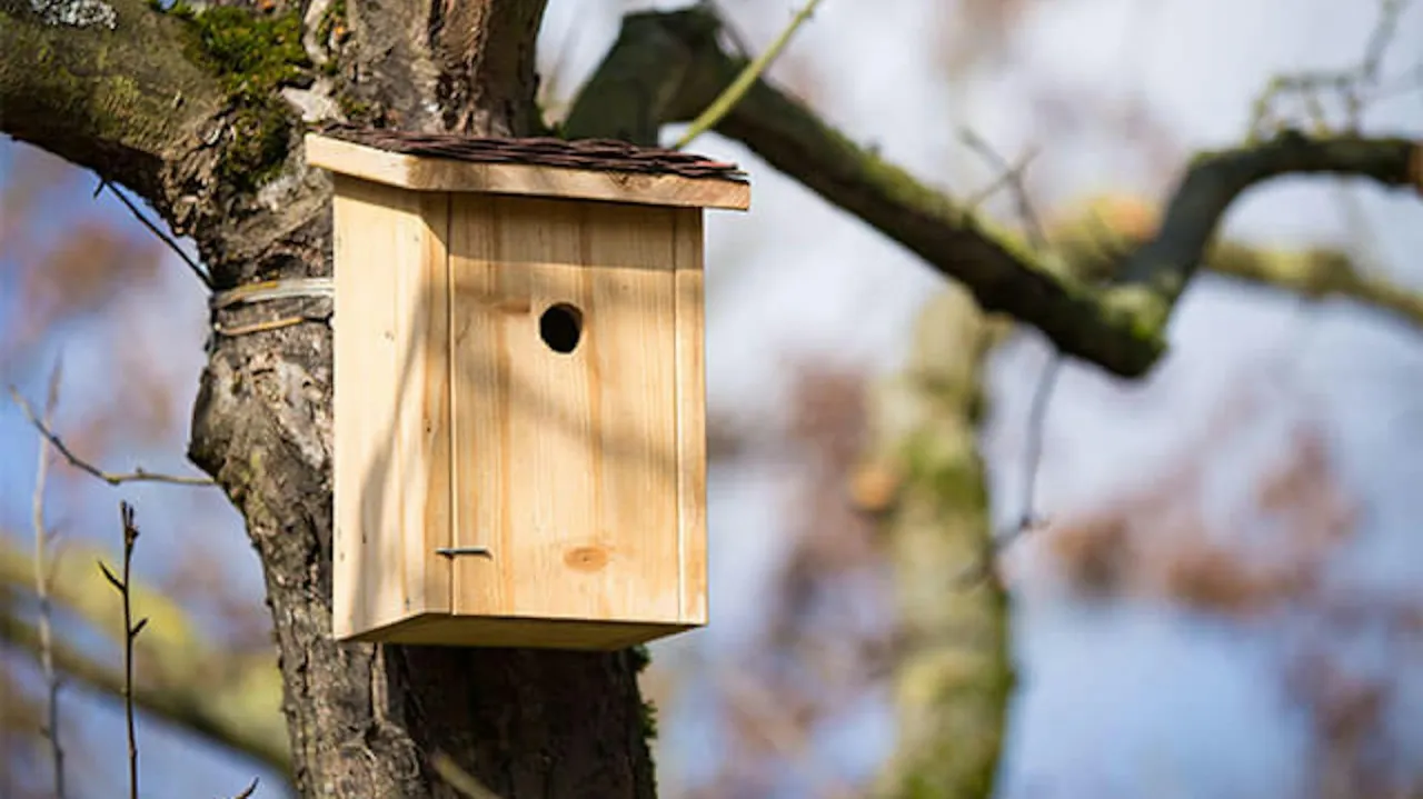zacienione schronienie dla ptak&oacute;w w ogrodzie lub na balkonie