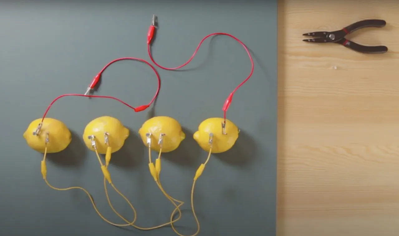 dzieci budują baterię z cytryny