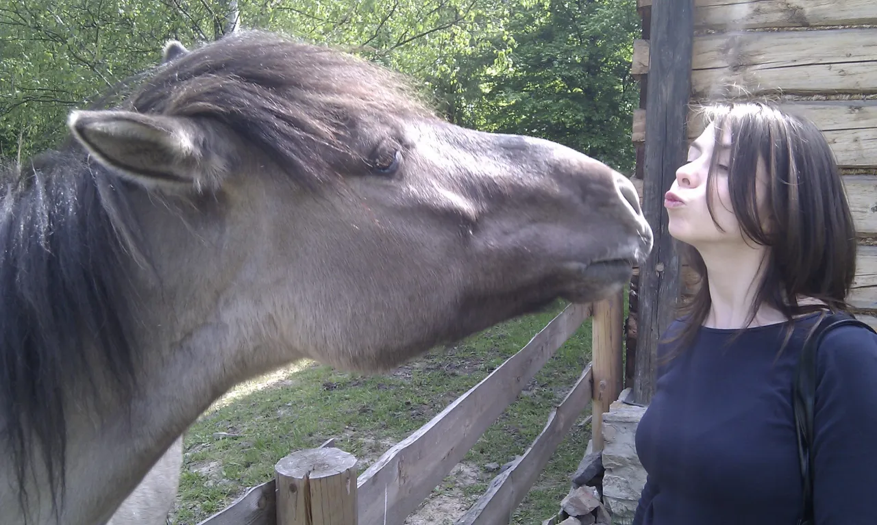Jeździec czytający książkę o koniach w stajni
