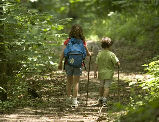 Rodzina z dziećmi na szlaku w Bieszczadach