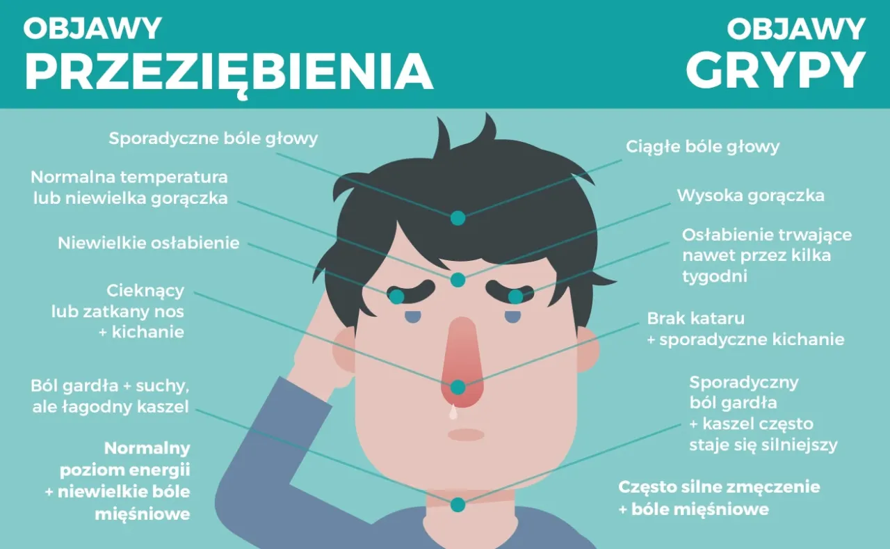 grypa a przeziębienie różnice infografika