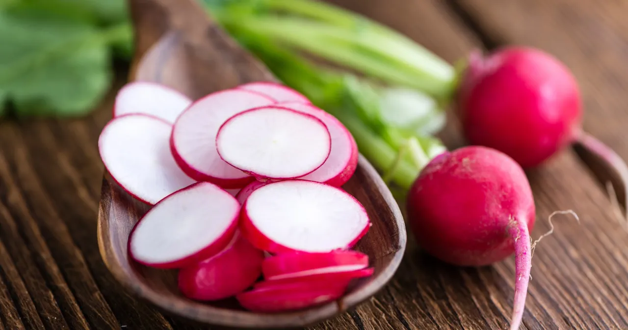 Plasterki rzodkiewek w drewnianej łyżce i całe warzywa obok. Zastanawiasz się, ile rzodkiewek dziennie to zdrowa porcja?