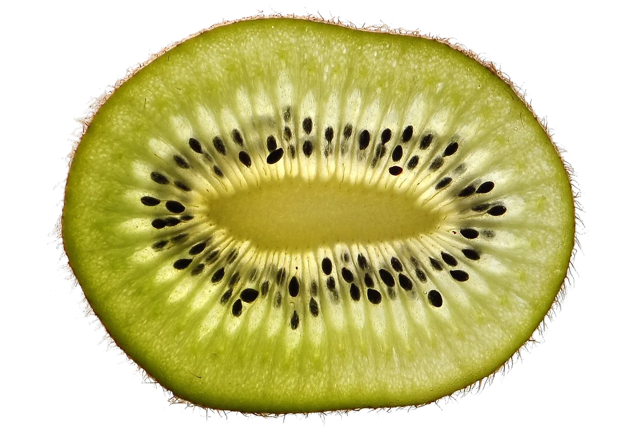 Kiwi przekr&oacute;j