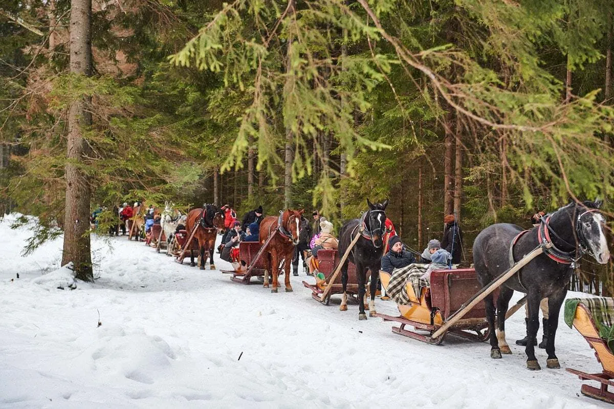 Kulig Bukowina Tatrzańska ognisko pochodnie