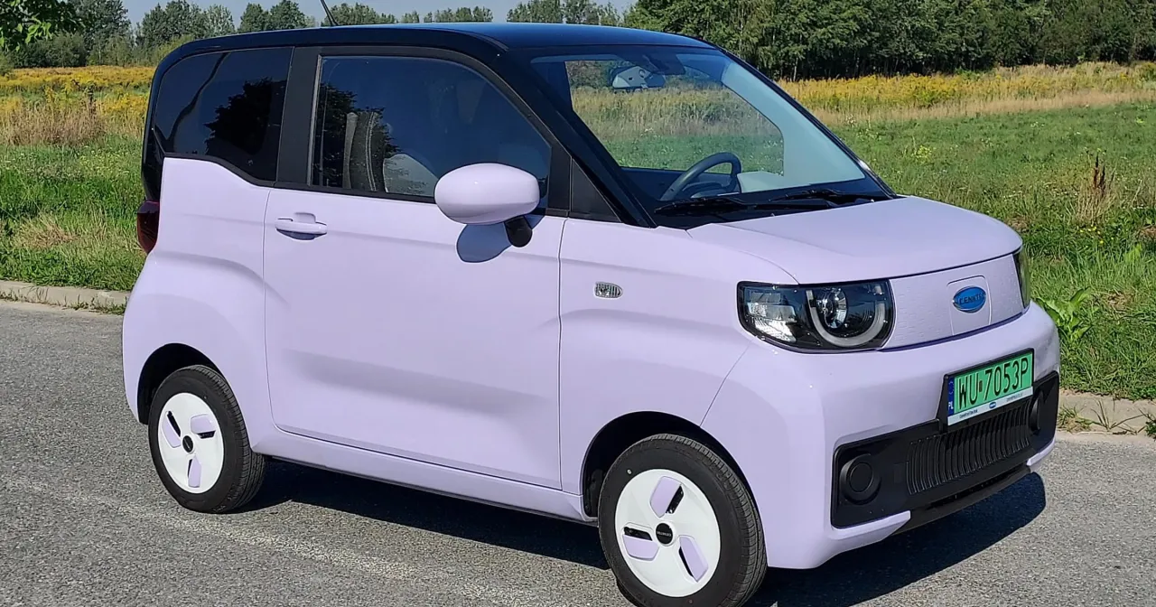 Chiński samochód elektryczny decyzja zakupowa