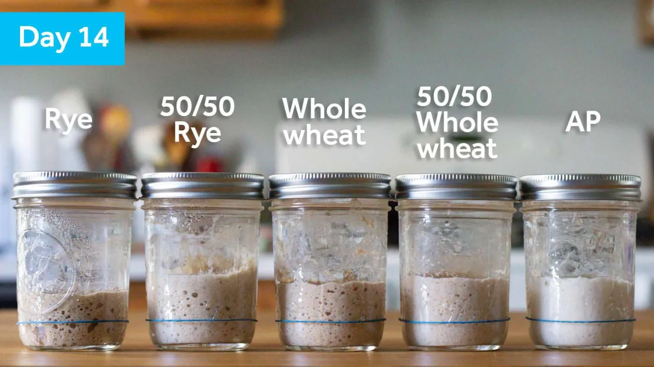 Sourdough starter and flour measurement