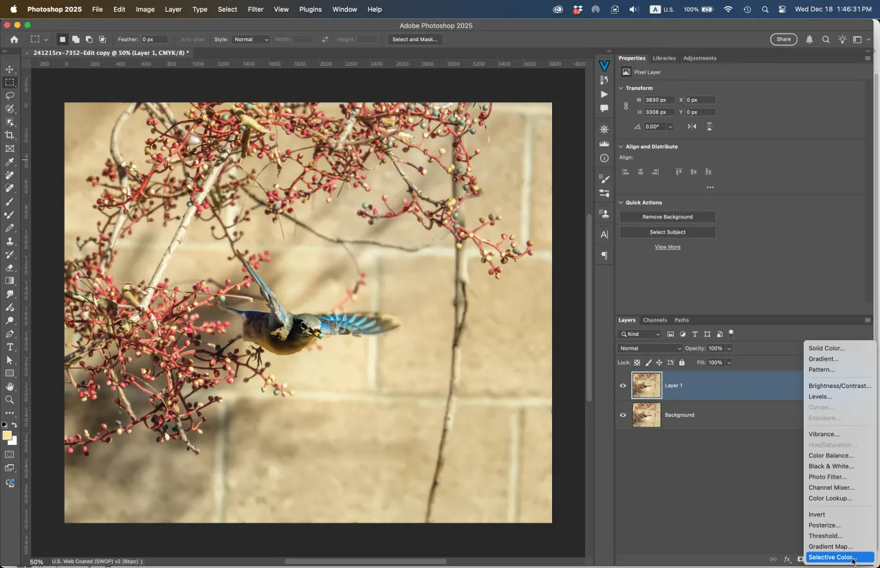 Photoshop Barwa Nasycenie warstwa dopasowania
