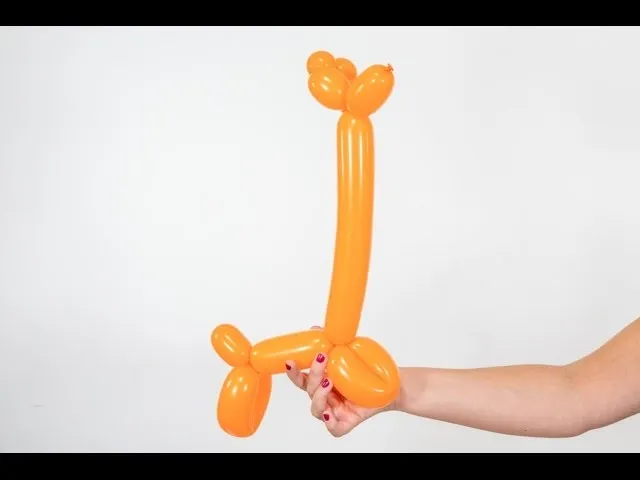 żyrafa z balonu, ośmiornica z balonu, korona z balonu