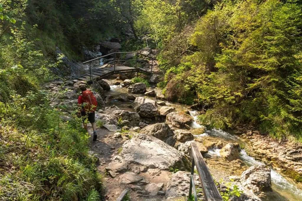 wąwóz homole rezerwat krajobrazowy