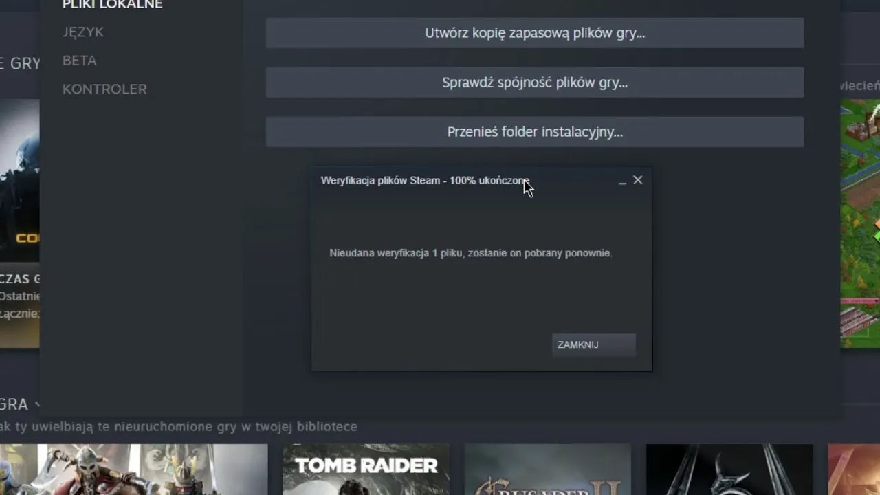 Steam weryfikacja sp&oacute;jności plik&oacute;w gry