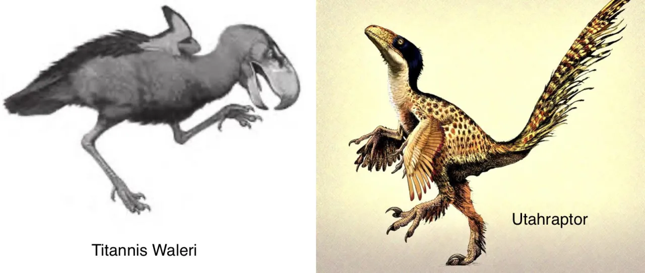 opierzone dinozaury i współczesne ptaki porównanie