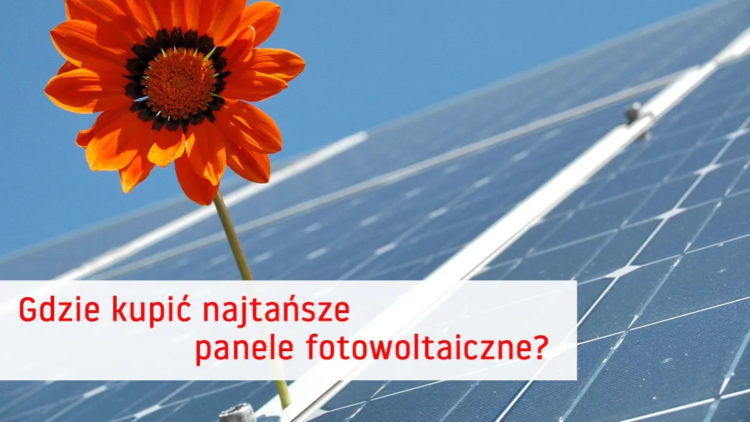 Zdjęcie Najtańsze panele fotowoltaiczne: jak wybrać i oszczędzić na energii
