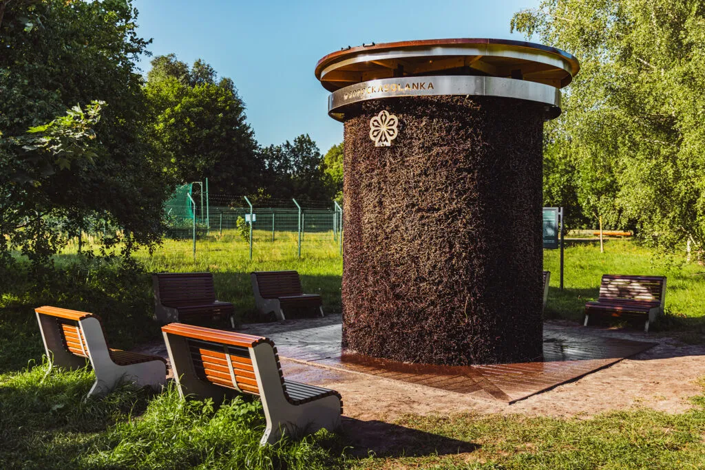 Sopockie Błonia tężnia solankowa