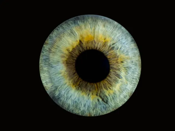 przykłady zdjęć tęczówki artystyczne