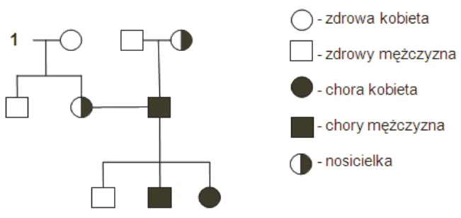 daltonizm genetyka dziedziczenie chromosom X