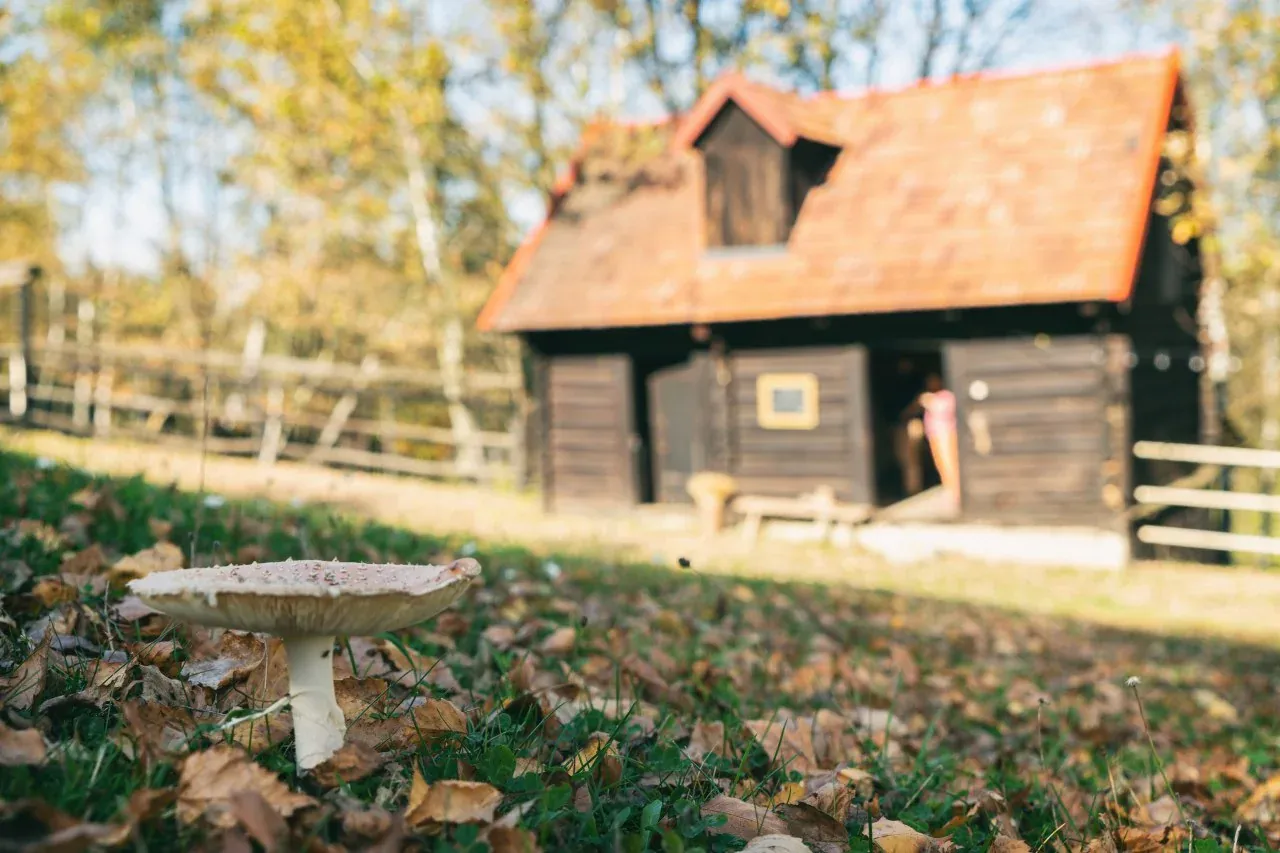 Bacówka Biały Jeleń opinie gości