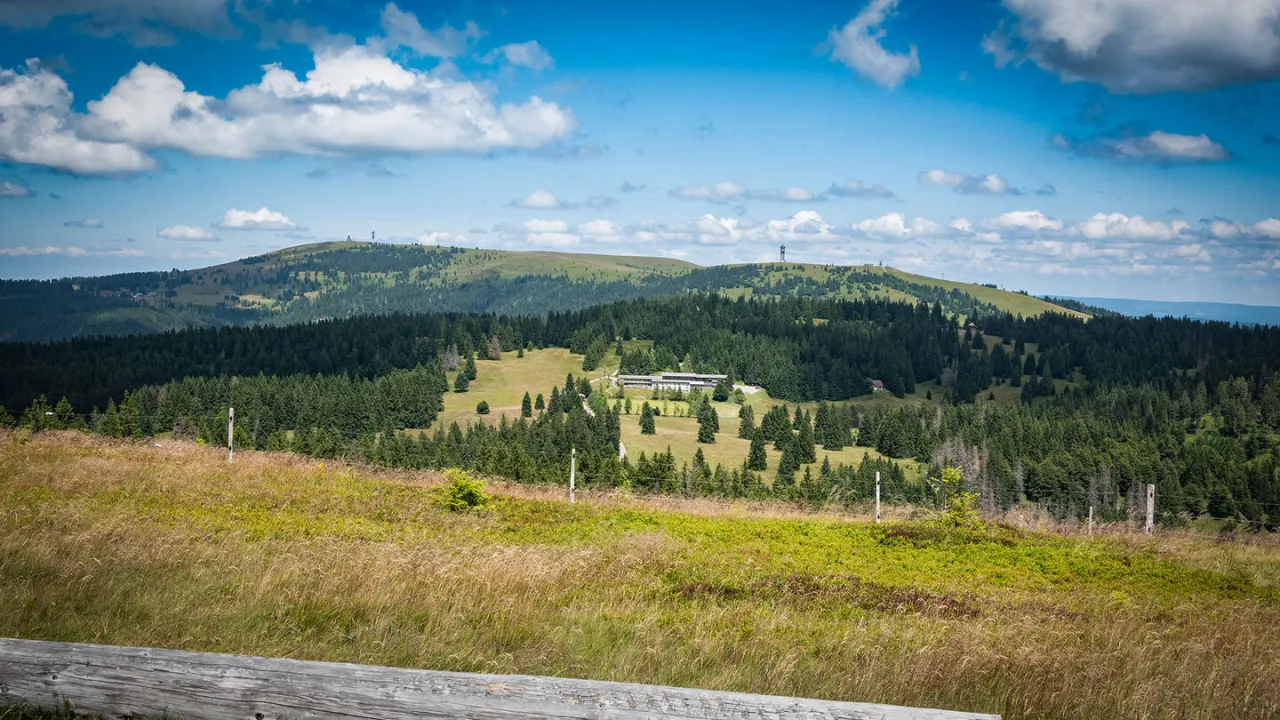 Herzogenhorn Schwarzwald Wanderung Panorama