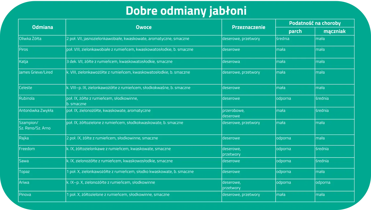 Tabela porównująca wczesne odmiany jabłoni: ich cechy, przeznaczenie i odporność na choroby.