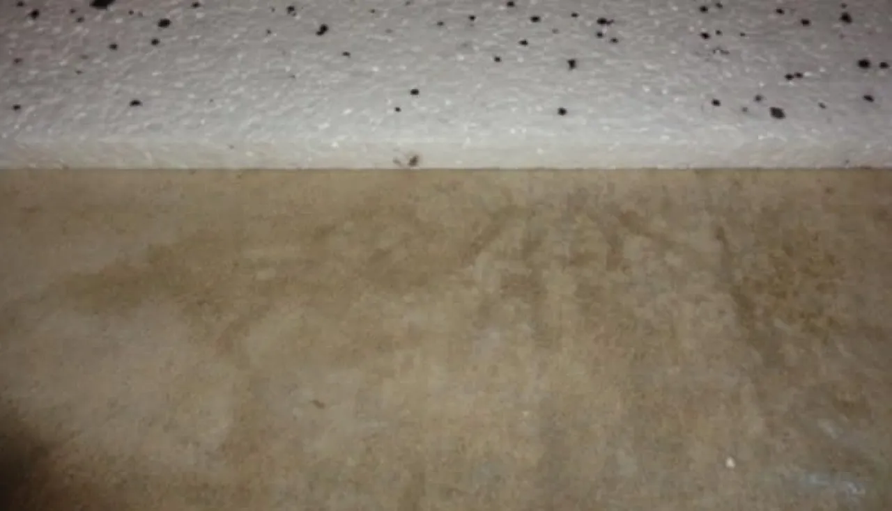 pielęgnacja świeżej wylewki betonowej