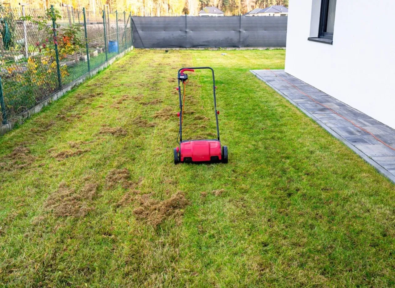 Wertykulacja trawnika kiedyś była trudna, dziś to łatwe z tym urządzeniem. Widać resztki po zabiegu.