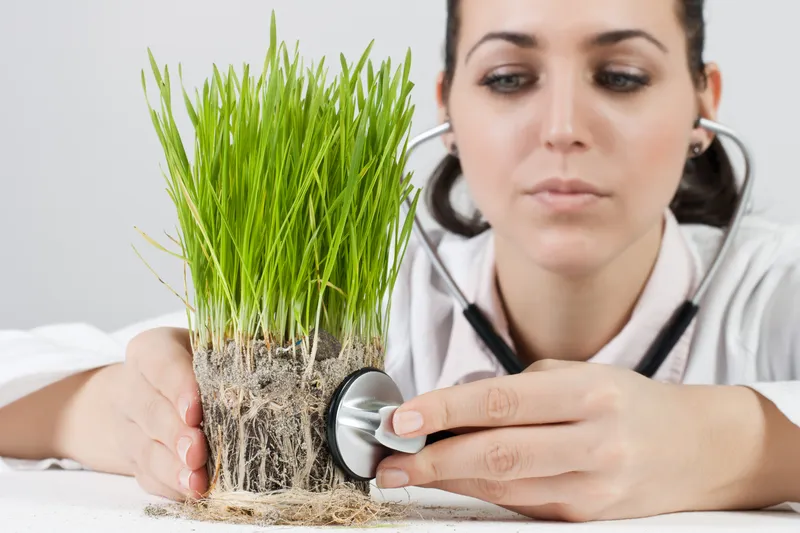 Zdjęcie Menopauza i homeopatia: jak forum może pomóc w łagodzeniu objawów