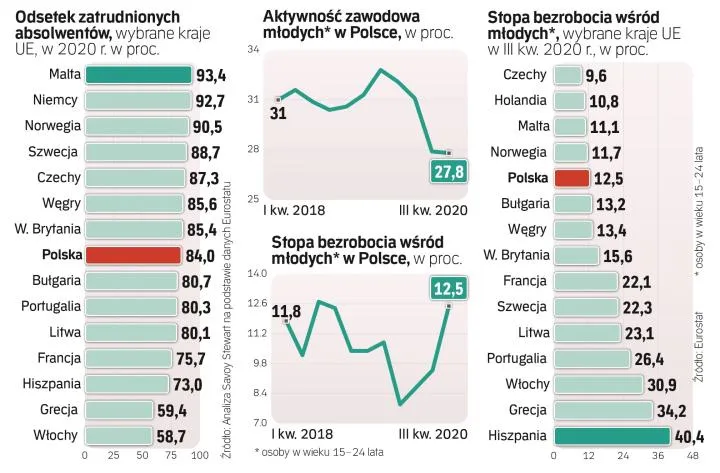 umiejętności absolwent ekonomia rynek pracy