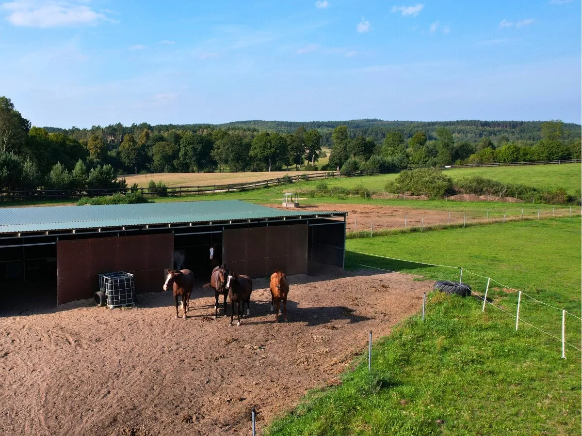 Pensjonat dla koni boksy pastwisko