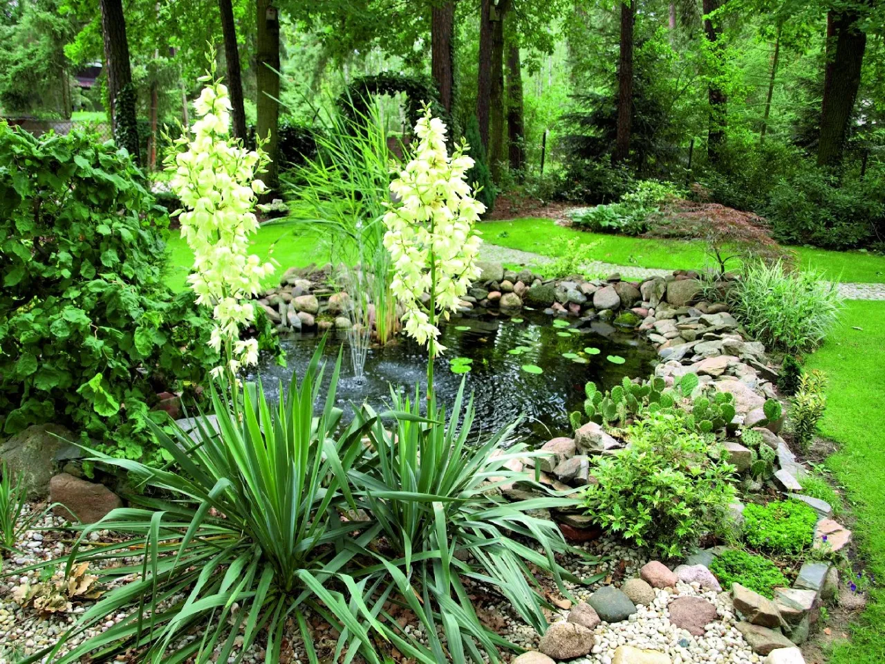 Juka ogrodowa w kompozycji z innymi roślinami