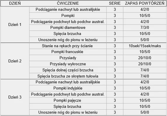 przykładowy plan treningowy siłowy rzeźba