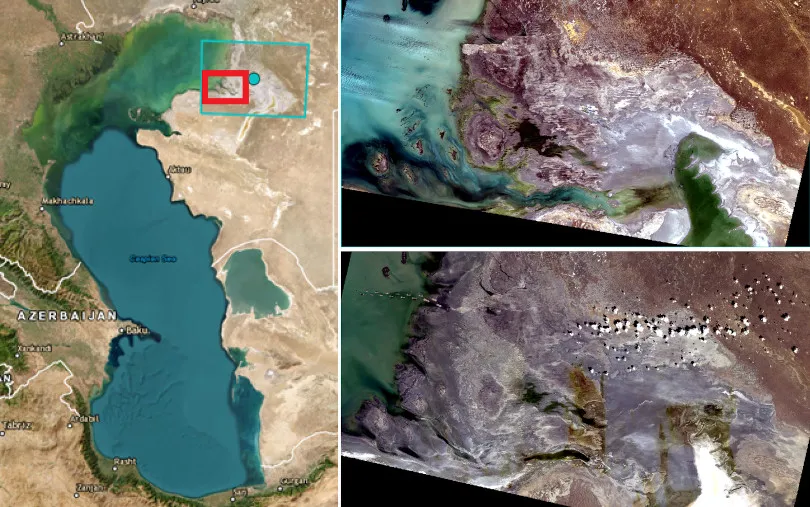 Por&oacute;wnanie zasolenia Morza Kaspijskiego z Bałtykiem i Oceanem Atlantyckim