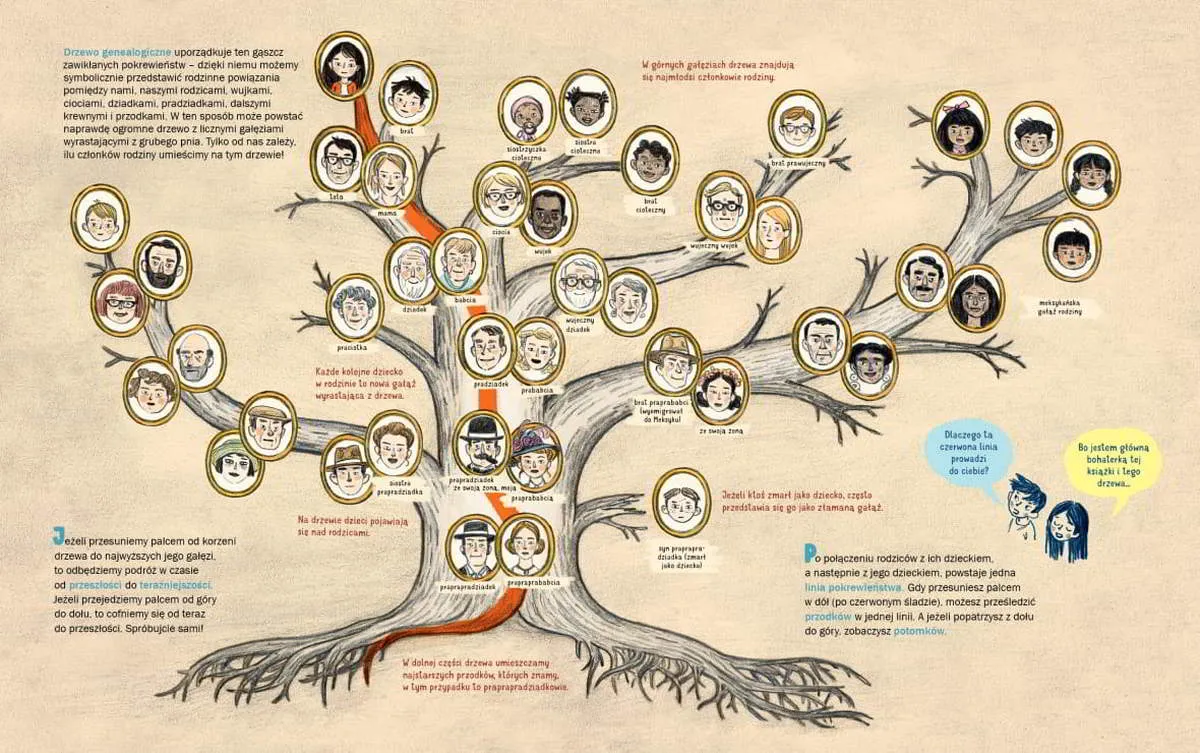 osoba badająca drzewo genealogiczne lub księgę imion